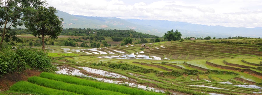 Kyaing Tong Farm View